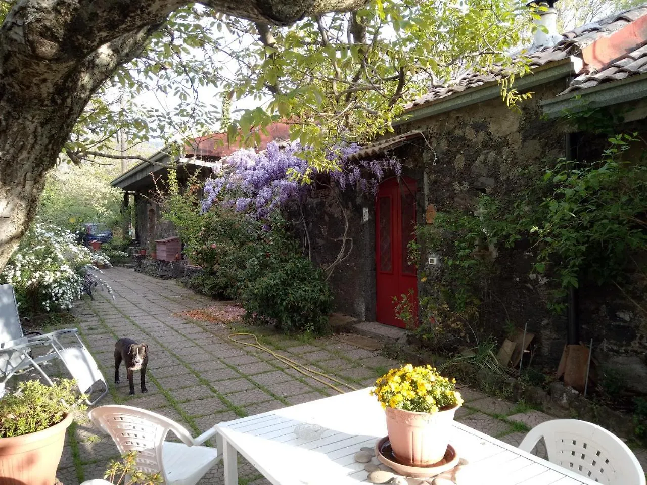 Cirasellaetna Villa Sant'Alfio Italy